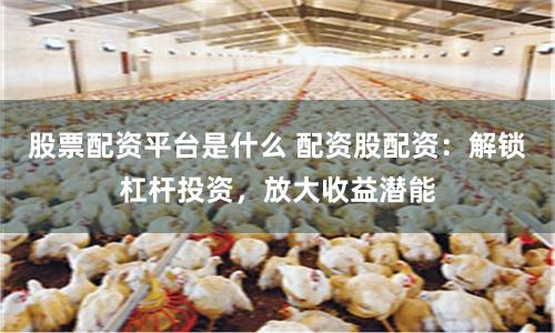 股票配资平台是什么 配资股配资：解锁杠杆投资，放大收益潜能